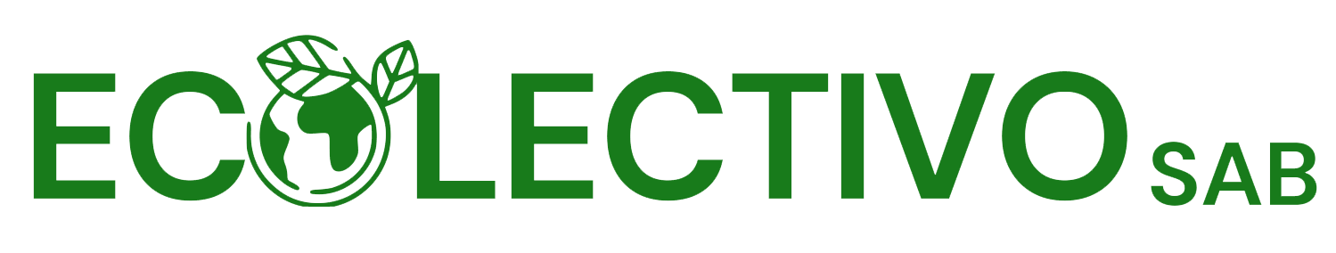 logo ECOLECTIVO Sab